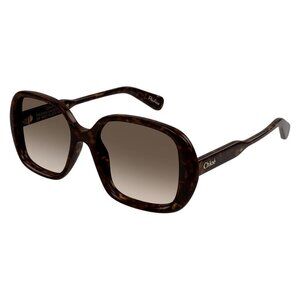 A0915Z New CHLOE Gayia Havana Square CH0222S 002 Sunglasses Women